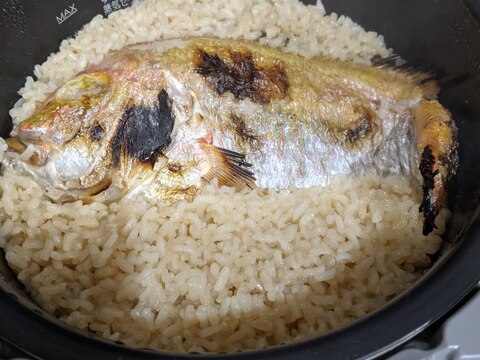 絶品ご飯♡炊飯器でつくる 鯛めし